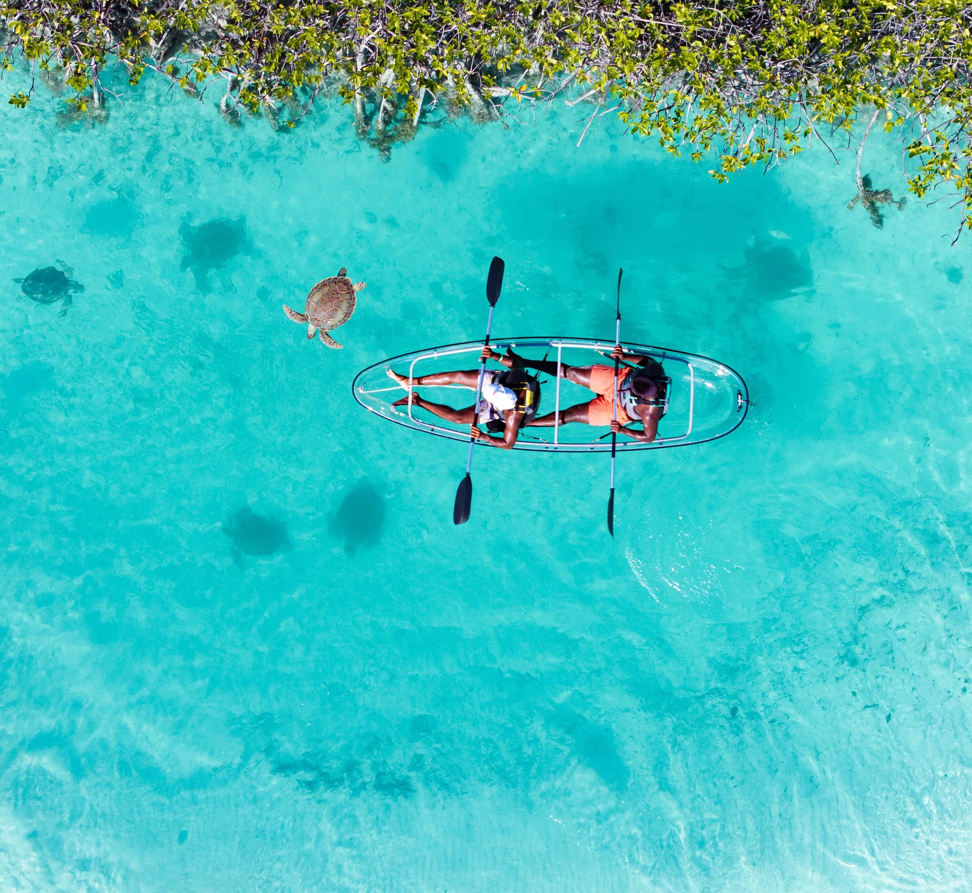 Overhead view of a clear kayak drifting above a turquoise seabed